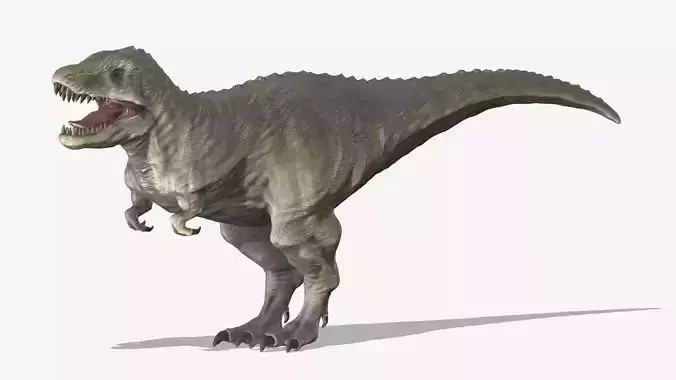  Tyrannosaurus 02 Low Poly PBR Realistic Low-poly 3D model