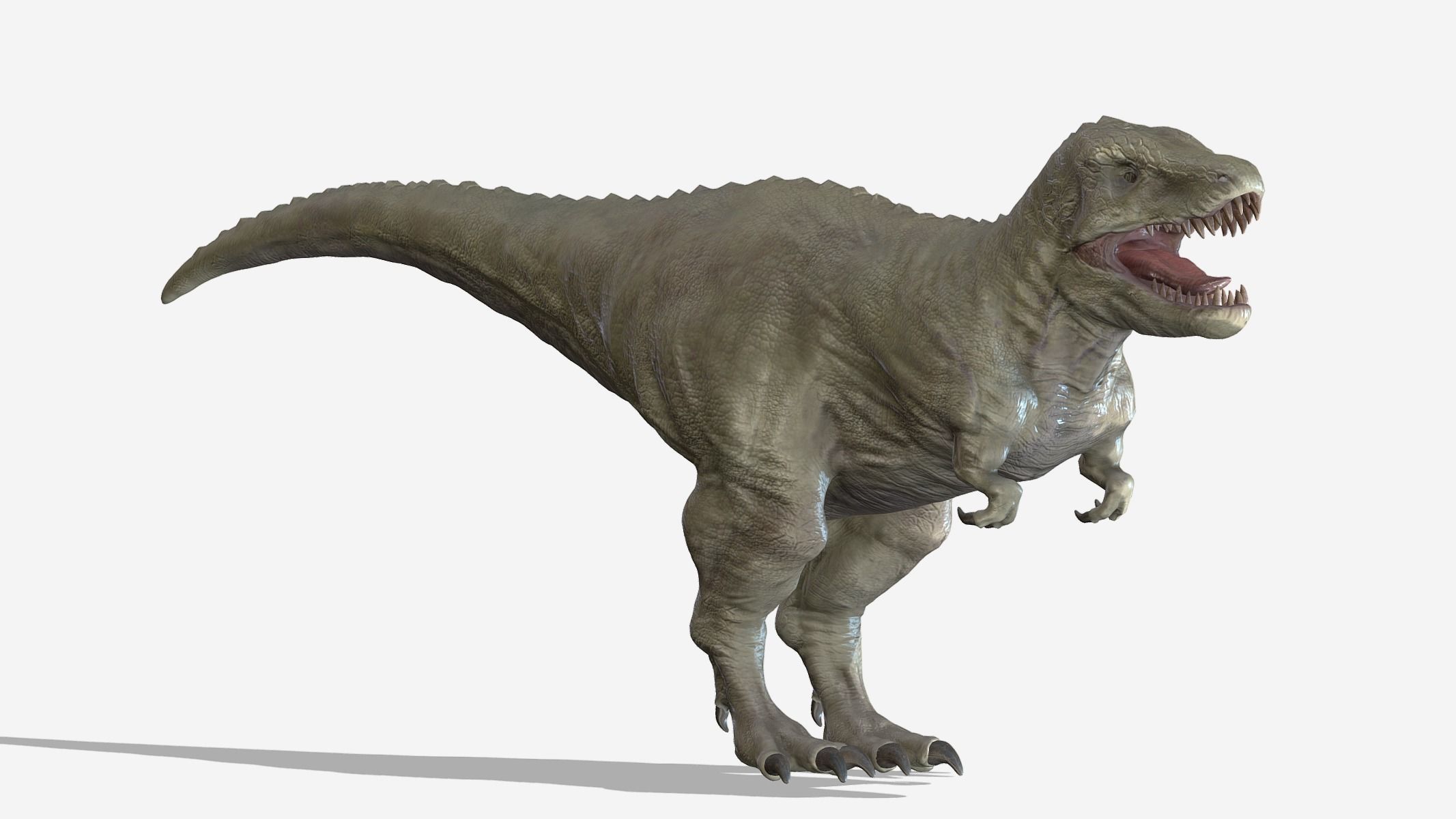  Tyrannosaurus 02 Low Poly PBR Realistic Low-poly 3D model_3