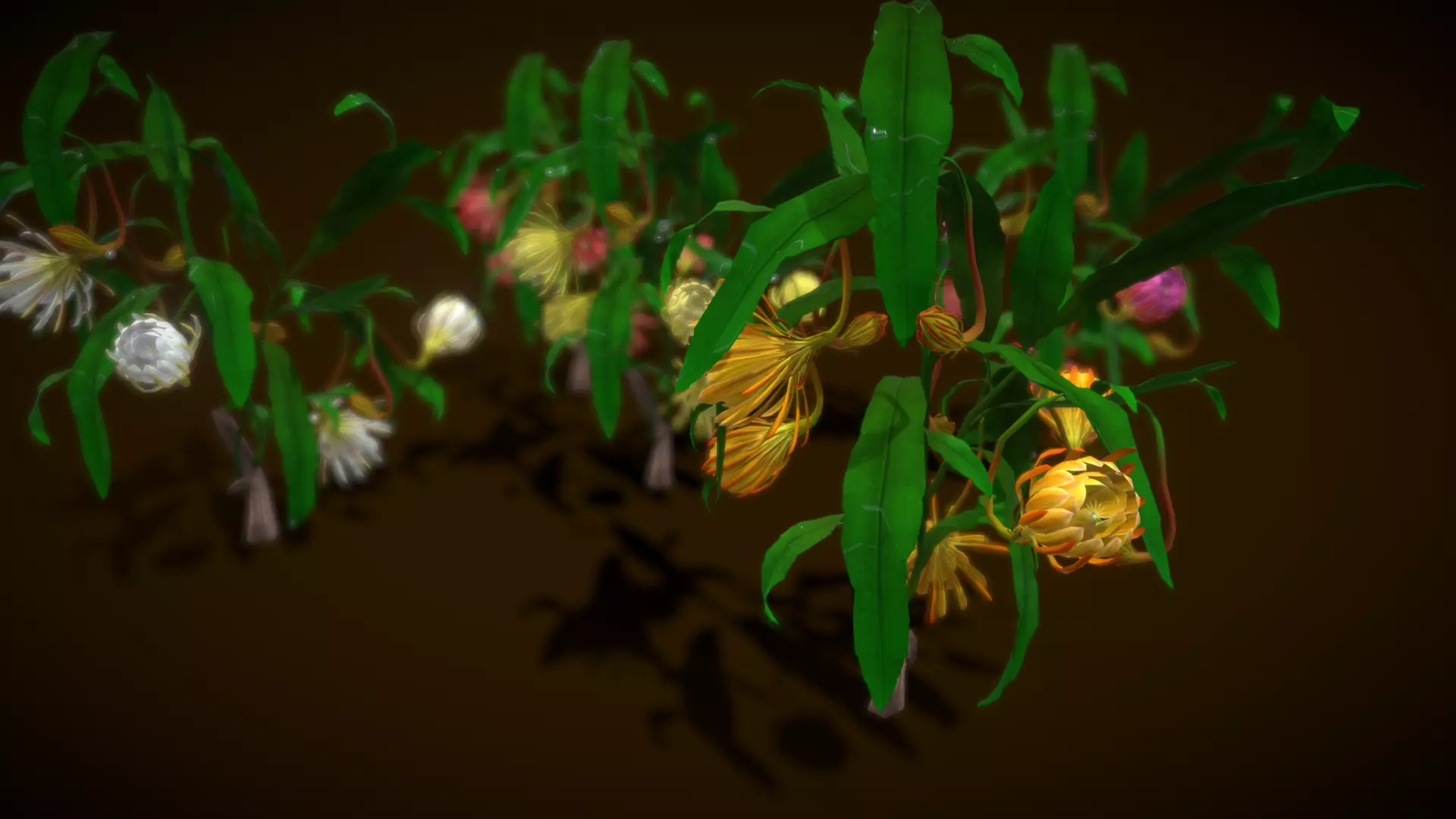 Flower Brahma Kamalam Low-poly 3D model