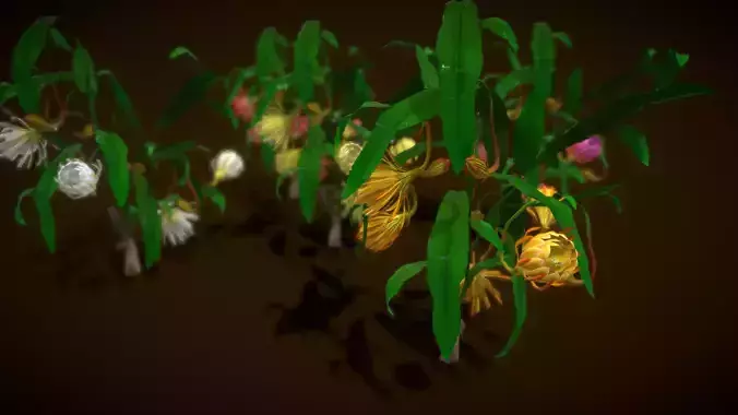 Flower Brahma Kamalam Low-poly 3D model