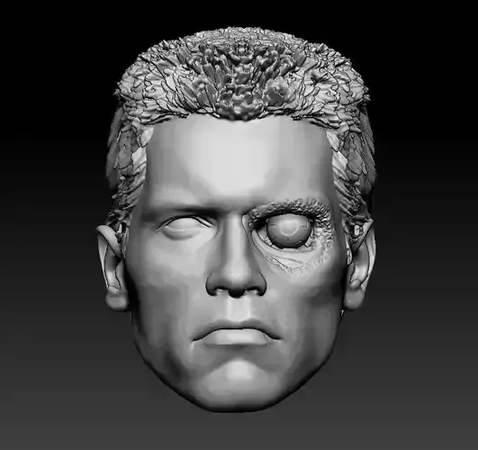 Terminator 1 head of hedgehog