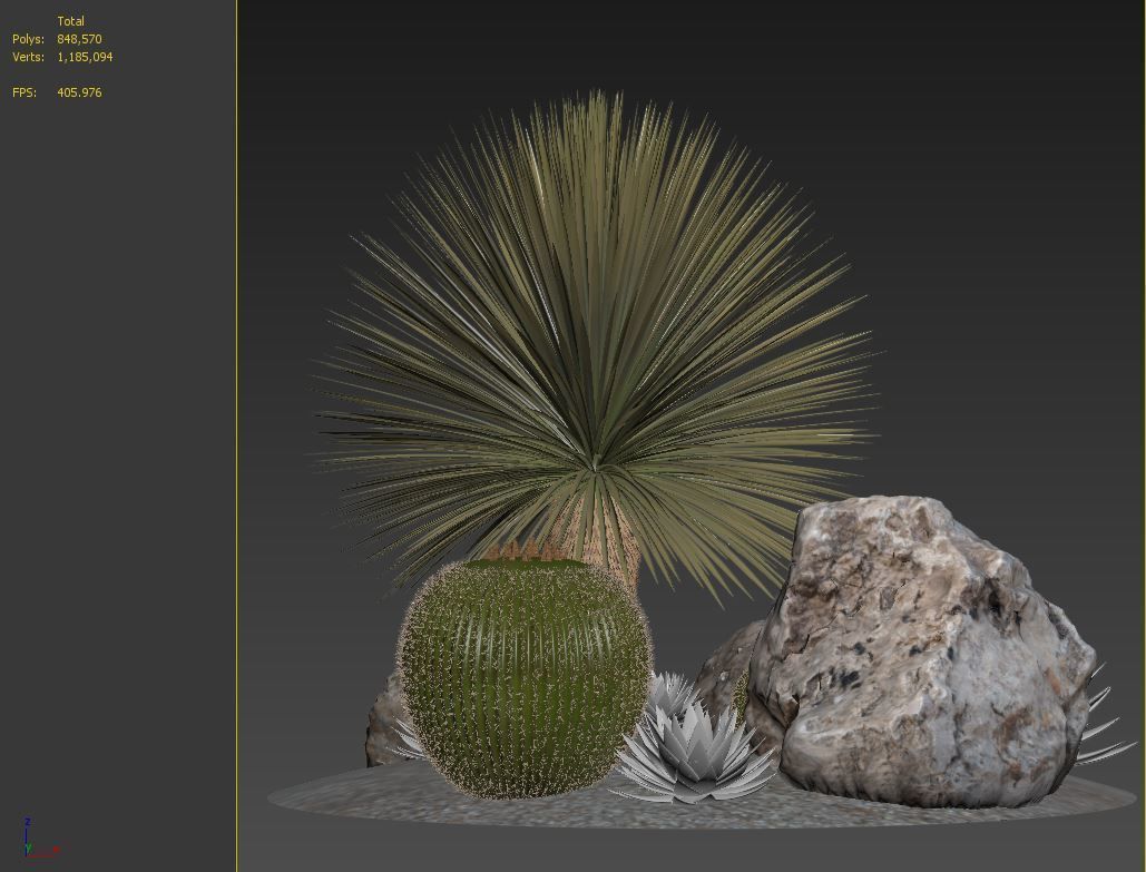 Australian garden 3D model_6