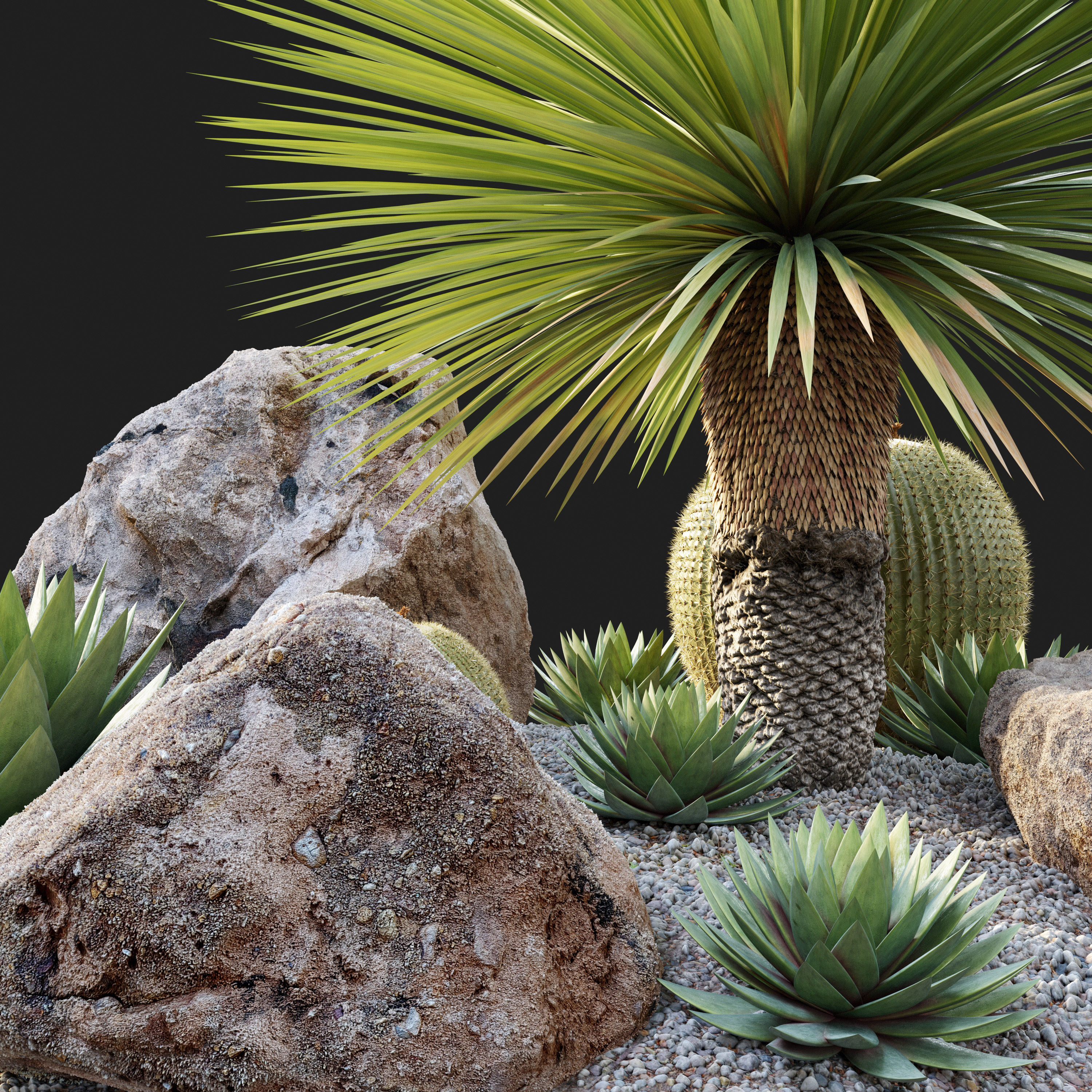 Australian garden 3D model_2