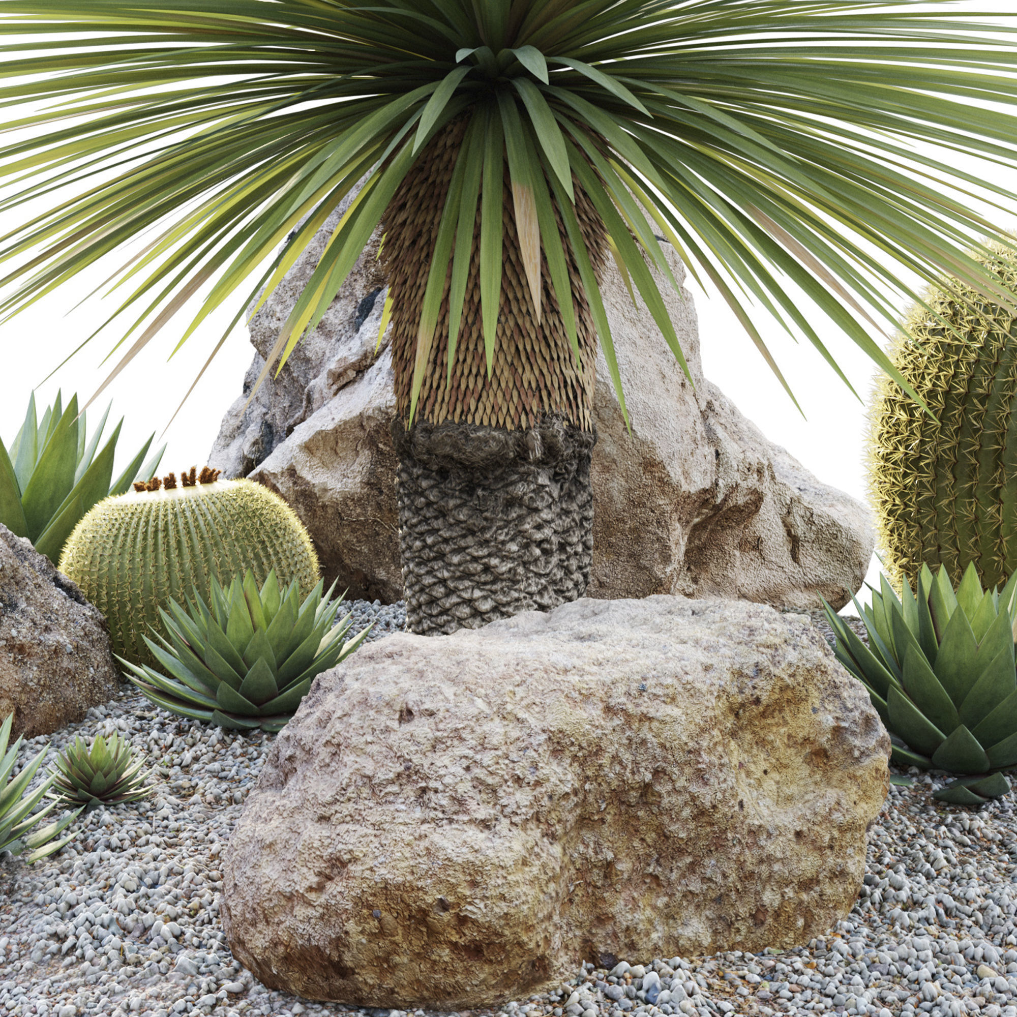 Australian garden 3D model_4