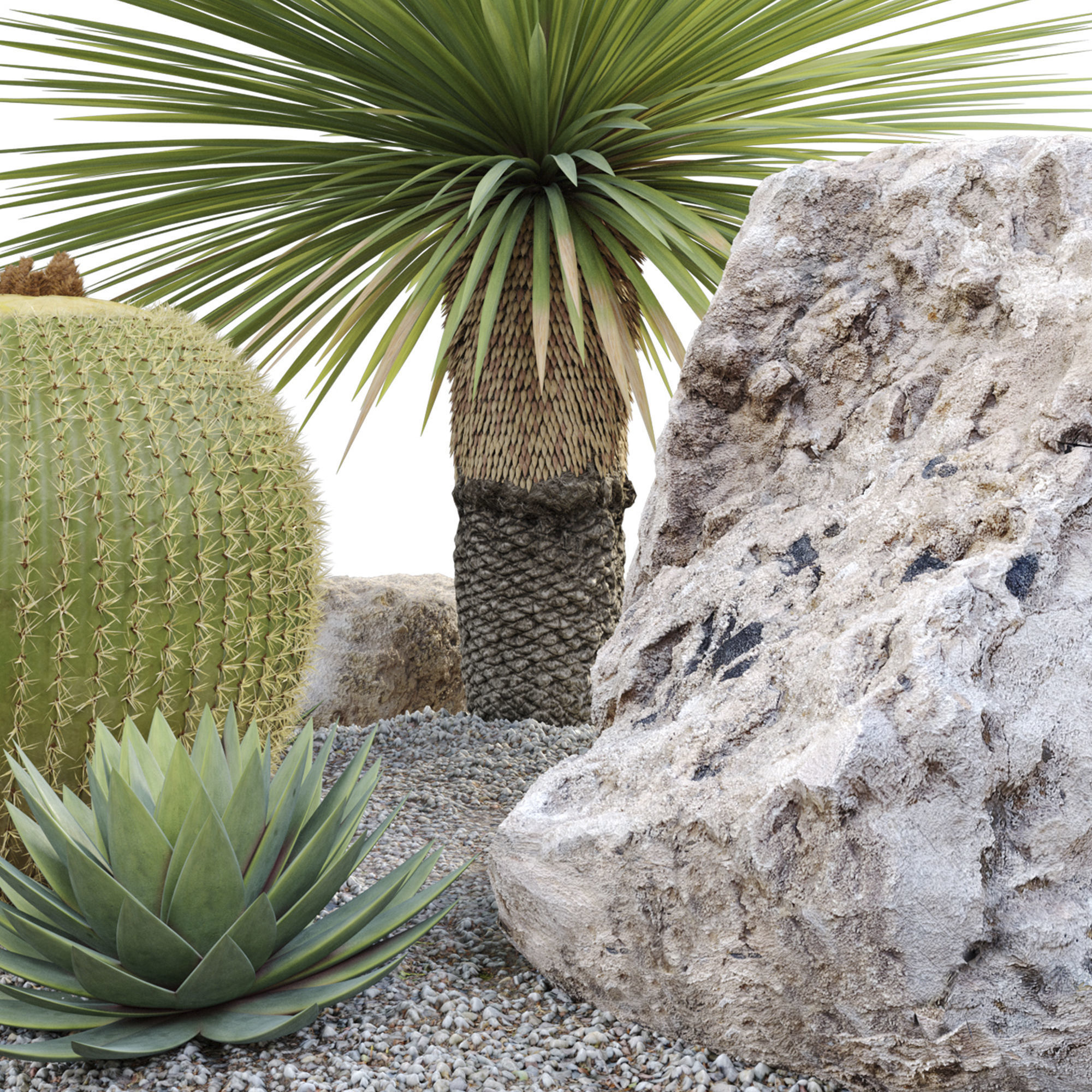 Australian garden 3D model_3