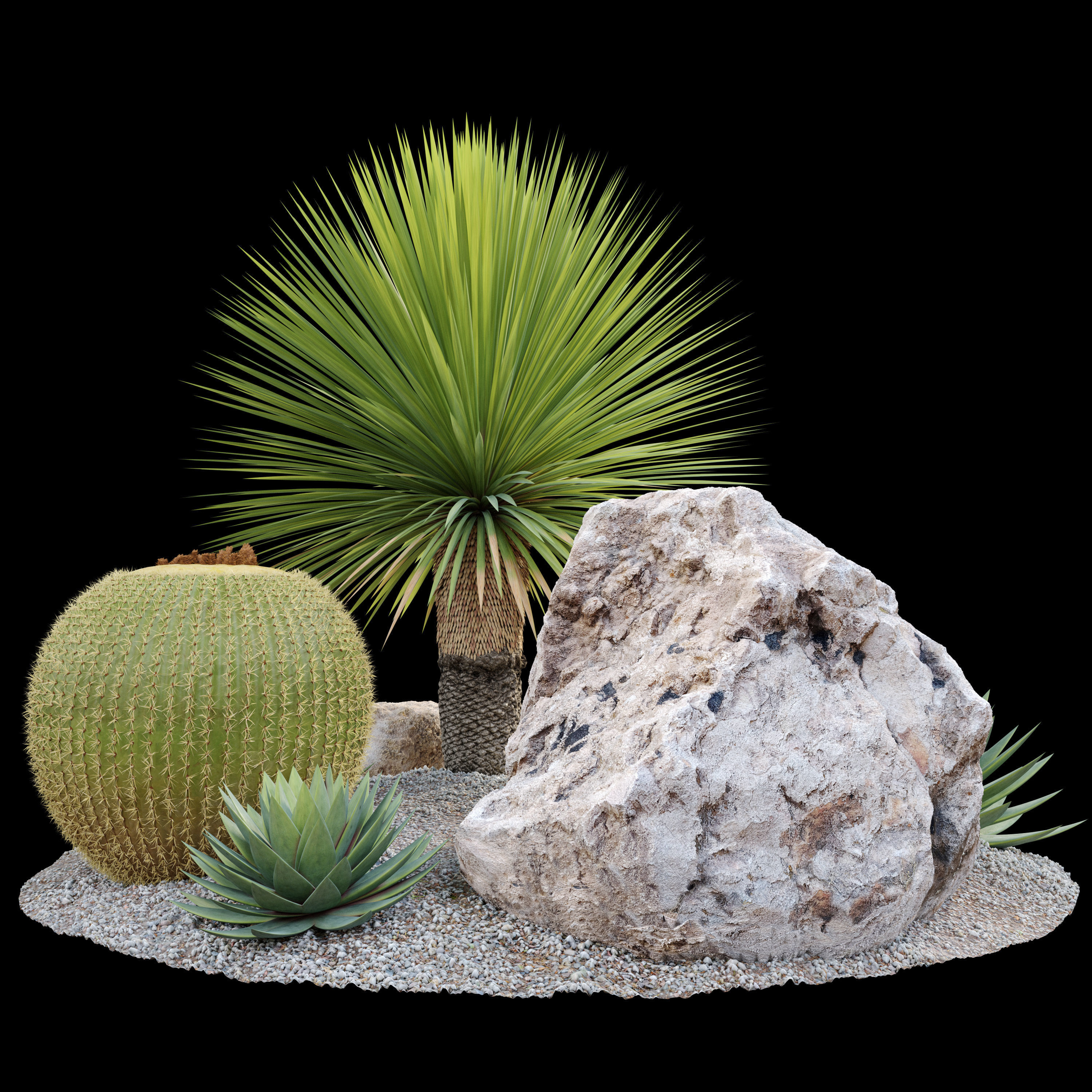 Australian garden 3D model_1