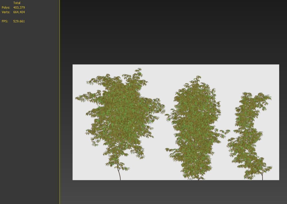 Virginia creeper 3D model_7