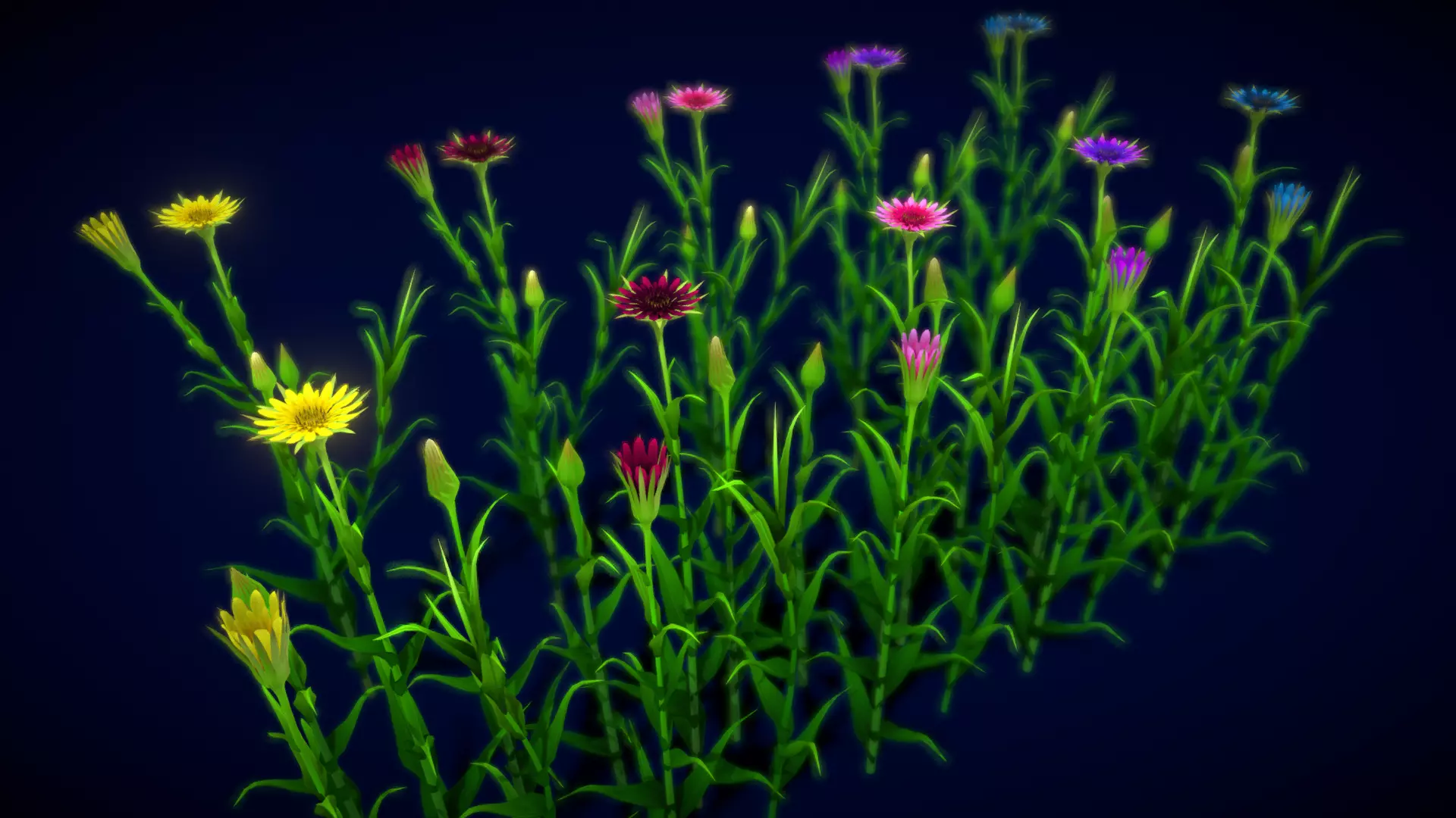 Flower Yellow Salsify Low-poly 3D model