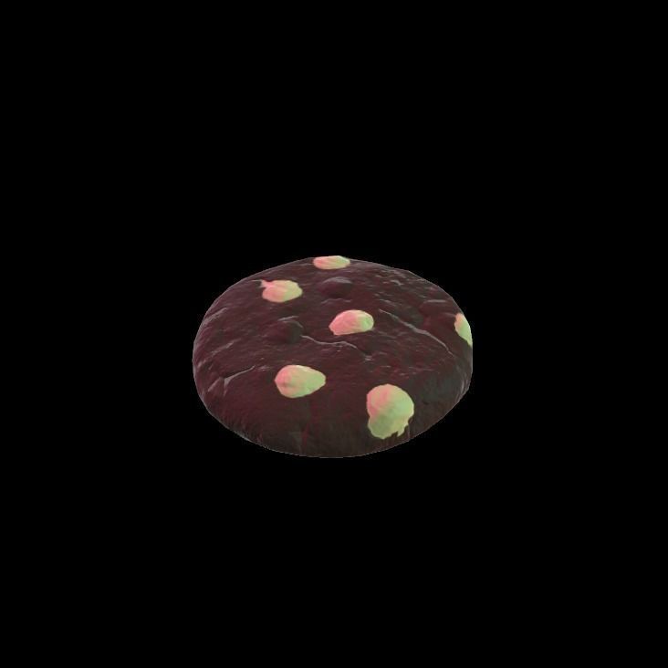 black and white cookie 3D model_2