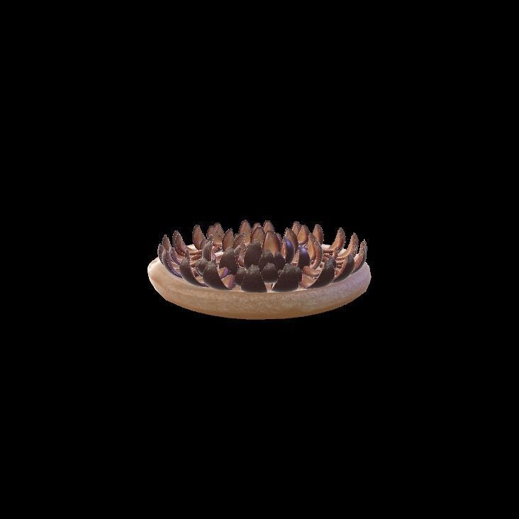 plum pie 3D model_5