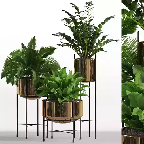 Plants collection 746 3D model