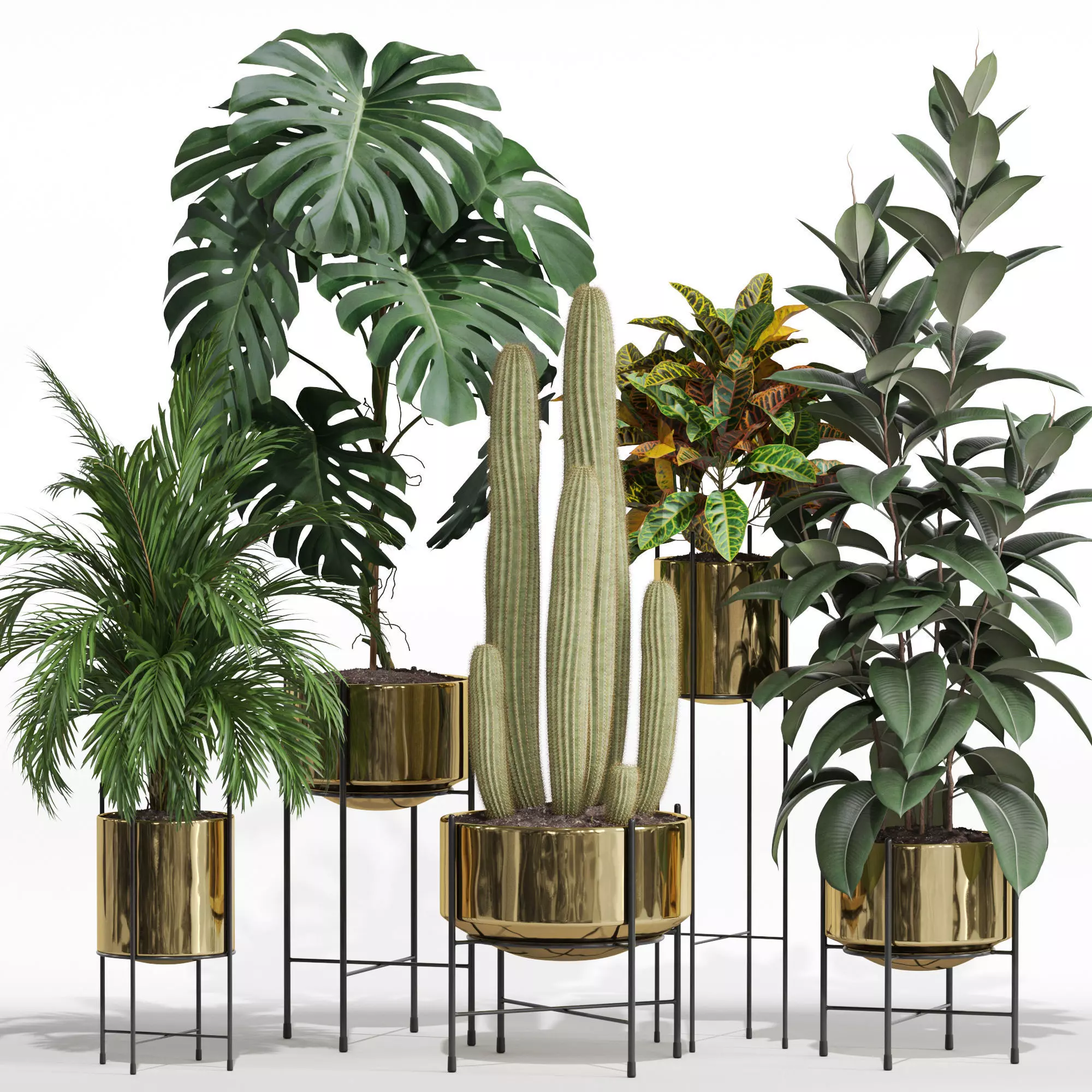 Plants collection 747 3D model