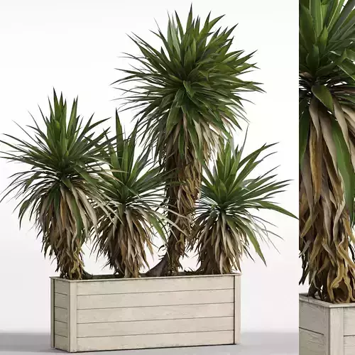 Plants collection 750 3D model