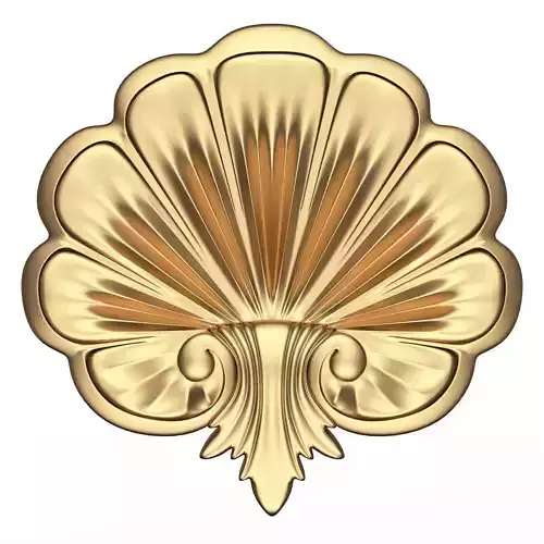 Shell Carved 05