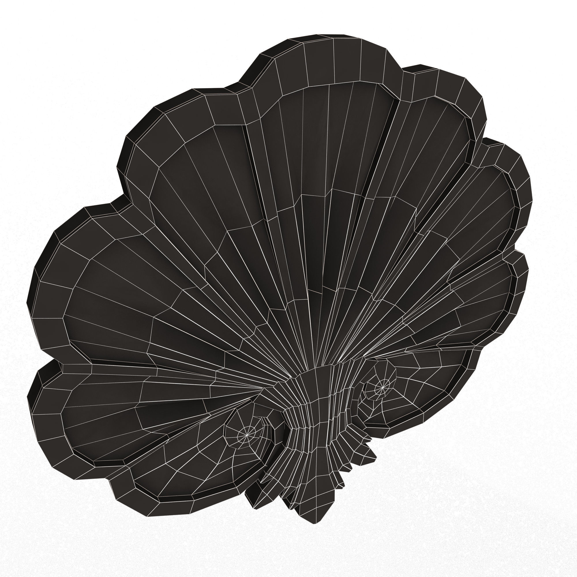 Shell Carved 05 Low-poly 3D model_13