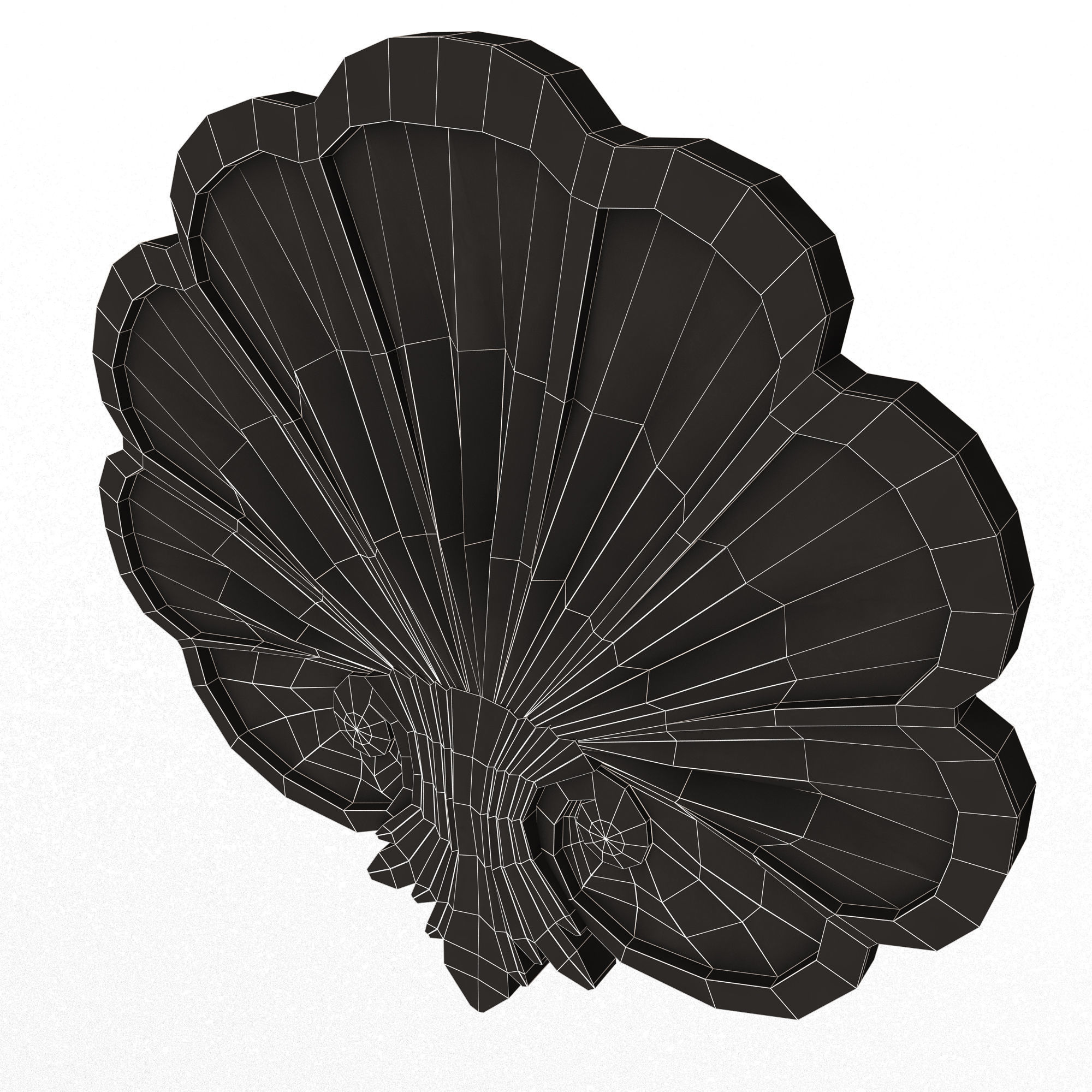 Shell Carved 05 Low-poly 3D model_14