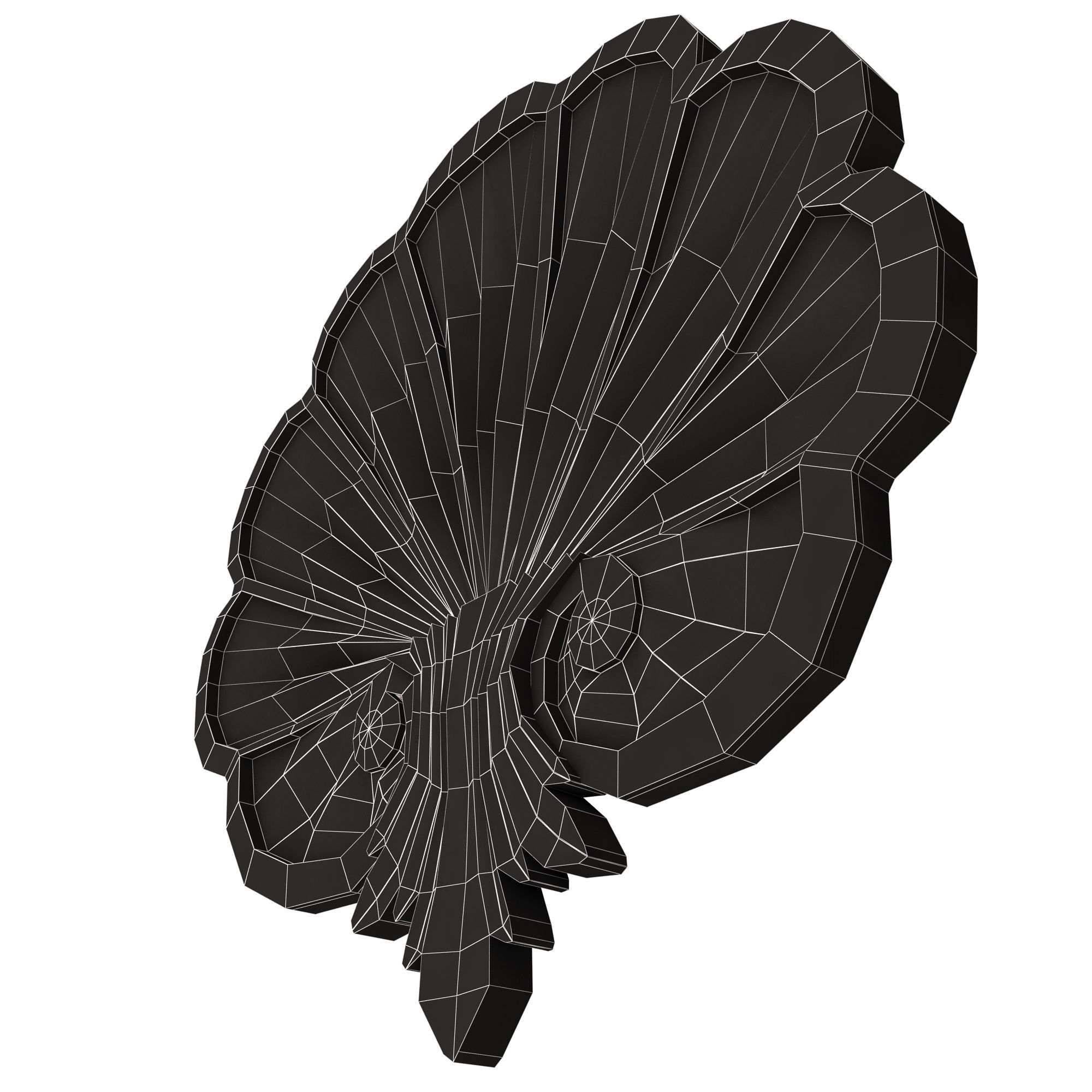 Shell Carved 05 Low-poly 3D model_16