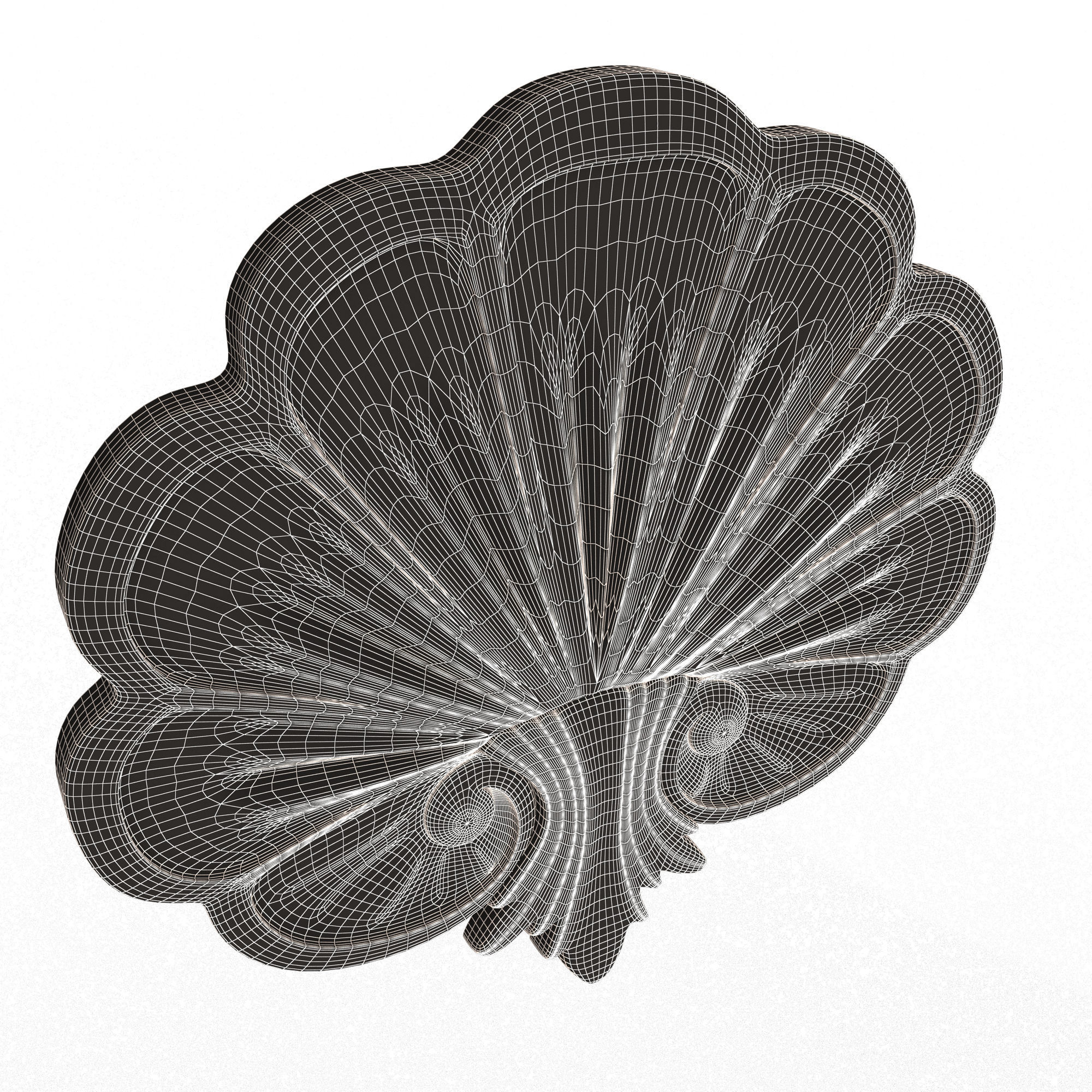 Shell Carved 05 Low-poly 3D model_7