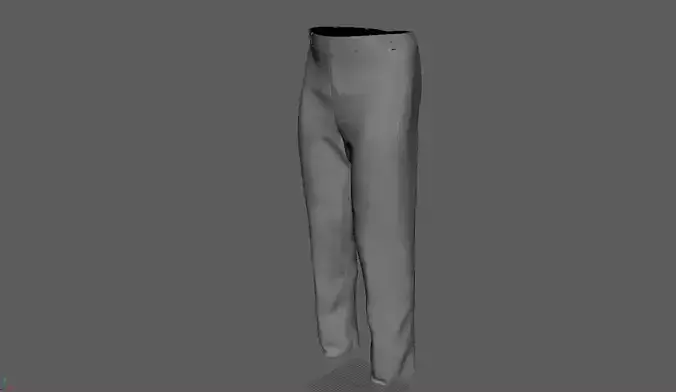 Formal Pant 3d model