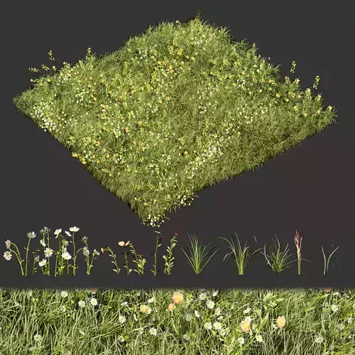 Collection plant vol 374 - grass - leaf - flower 3D model