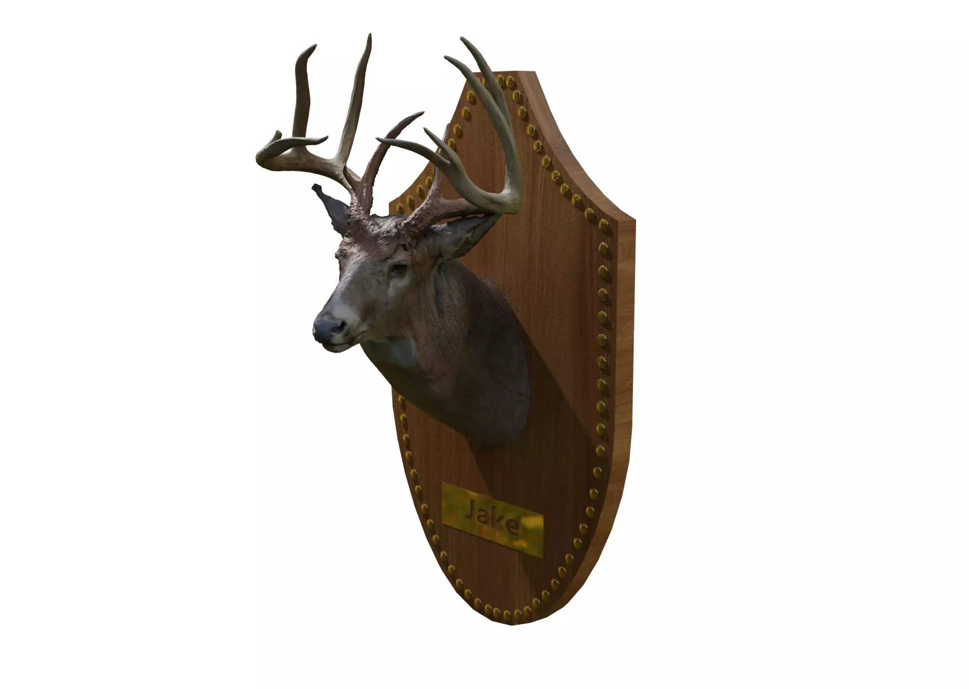 Deer Head Free 3D model
