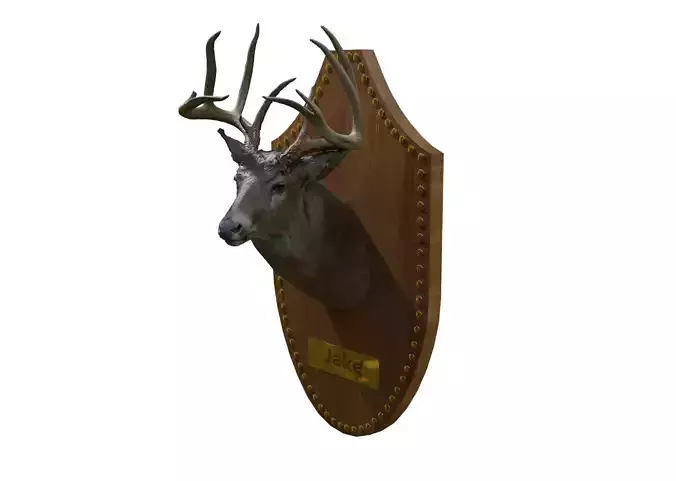 Deer Head