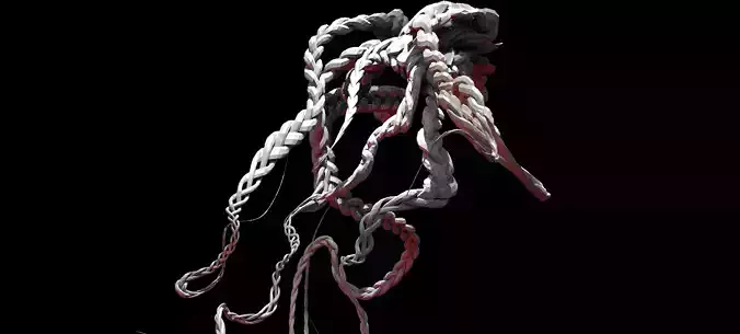 Stylized Hair Braids 