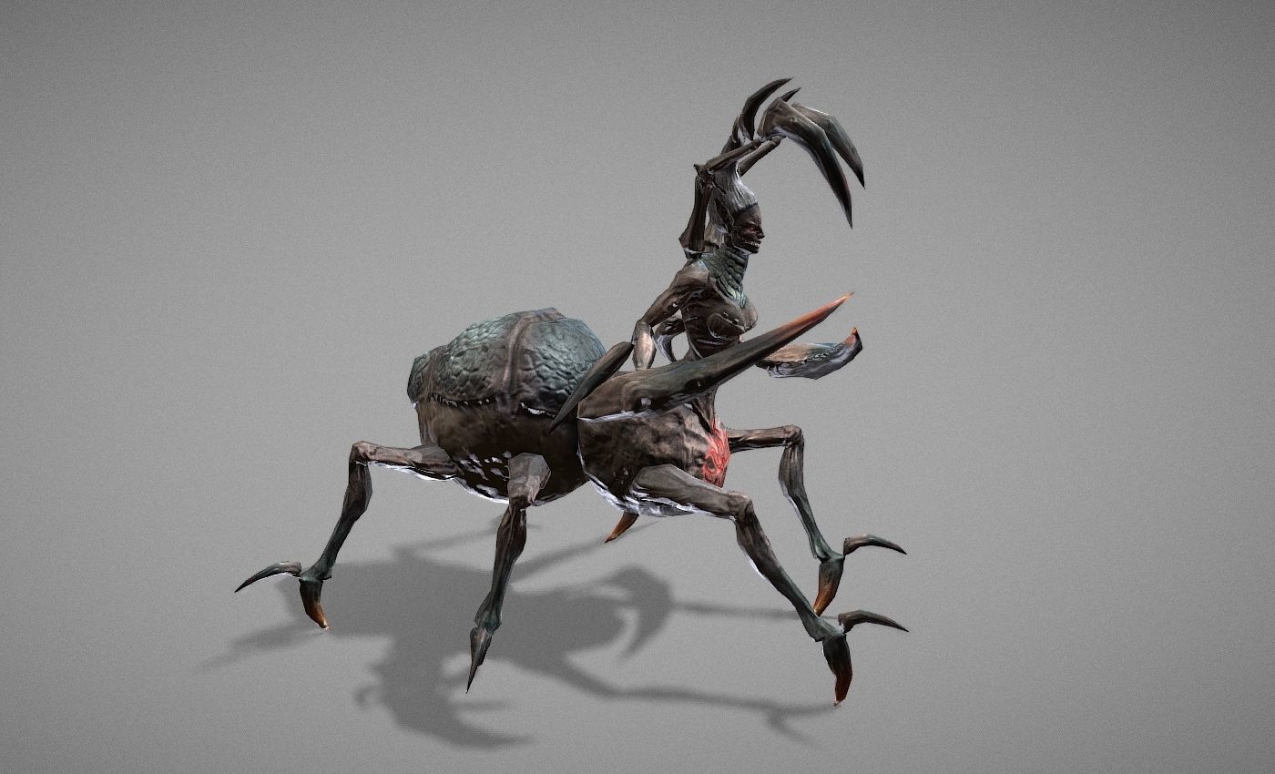 Tarantula Myth Low-poly 3D model_24