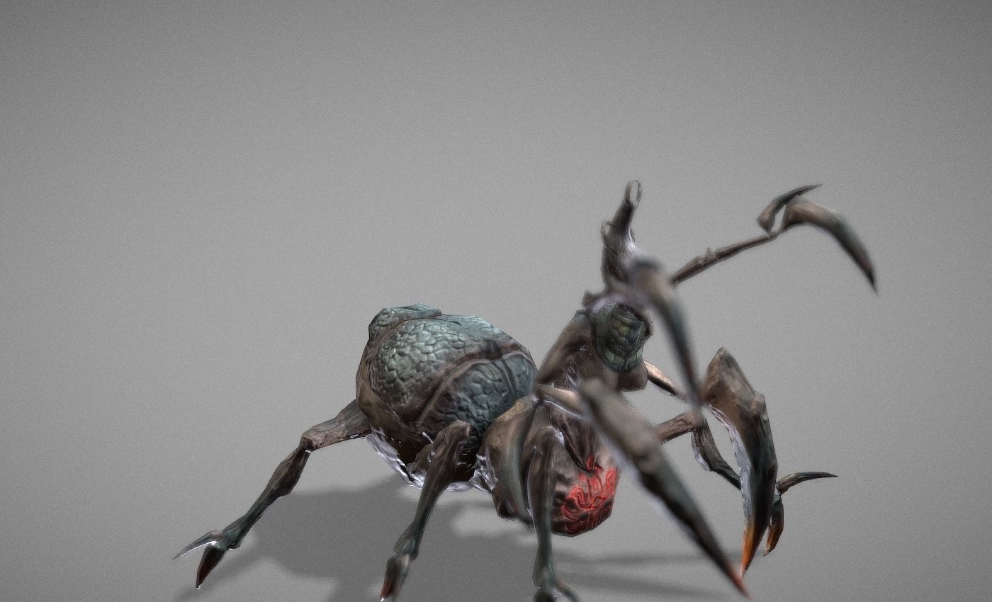 Tarantula Myth Low-poly 3D model_23