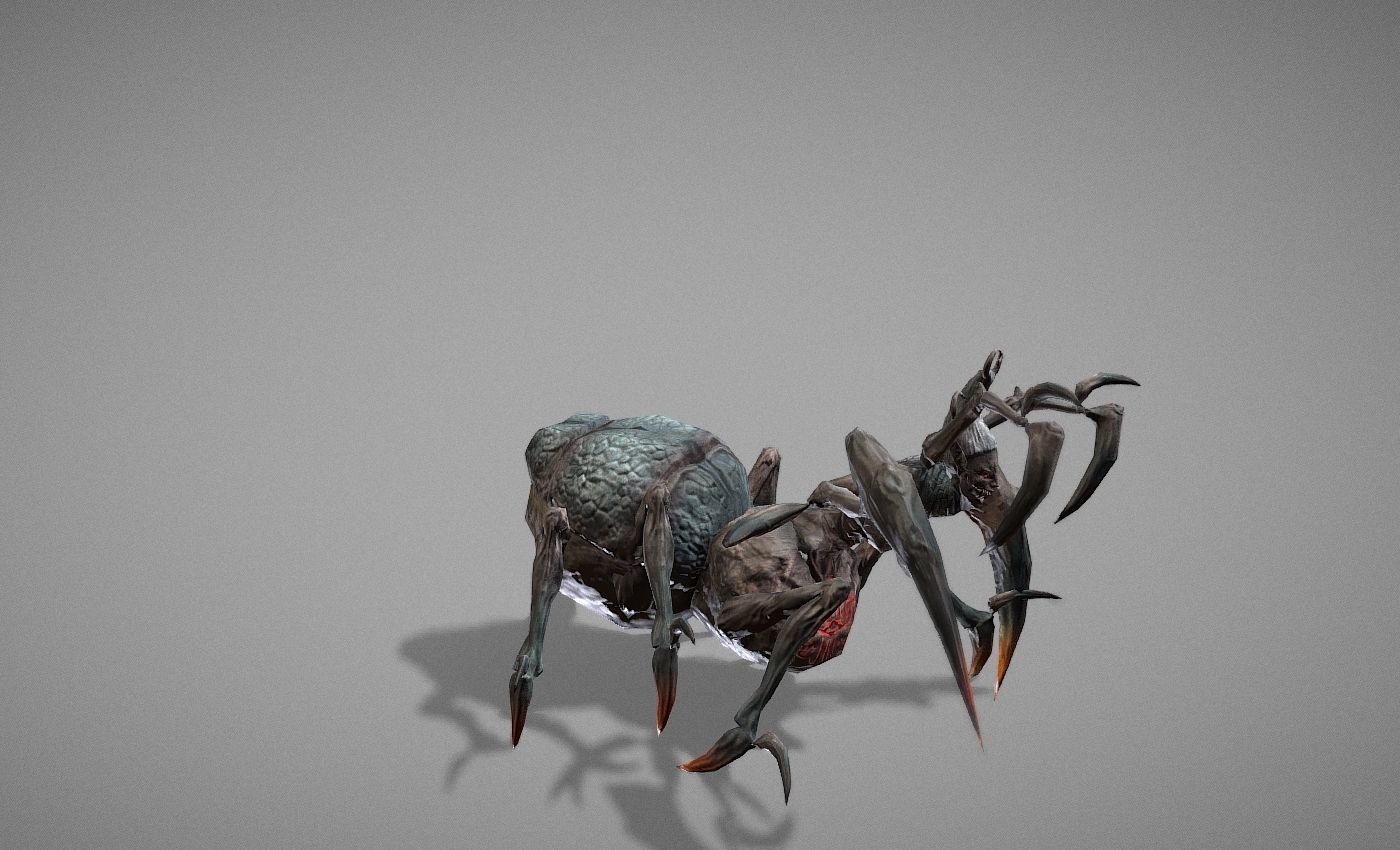 Tarantula Myth Low-poly 3D model_25