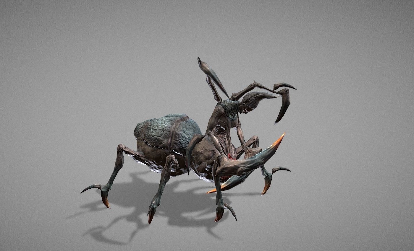 Tarantula Myth Low-poly 3D model_22