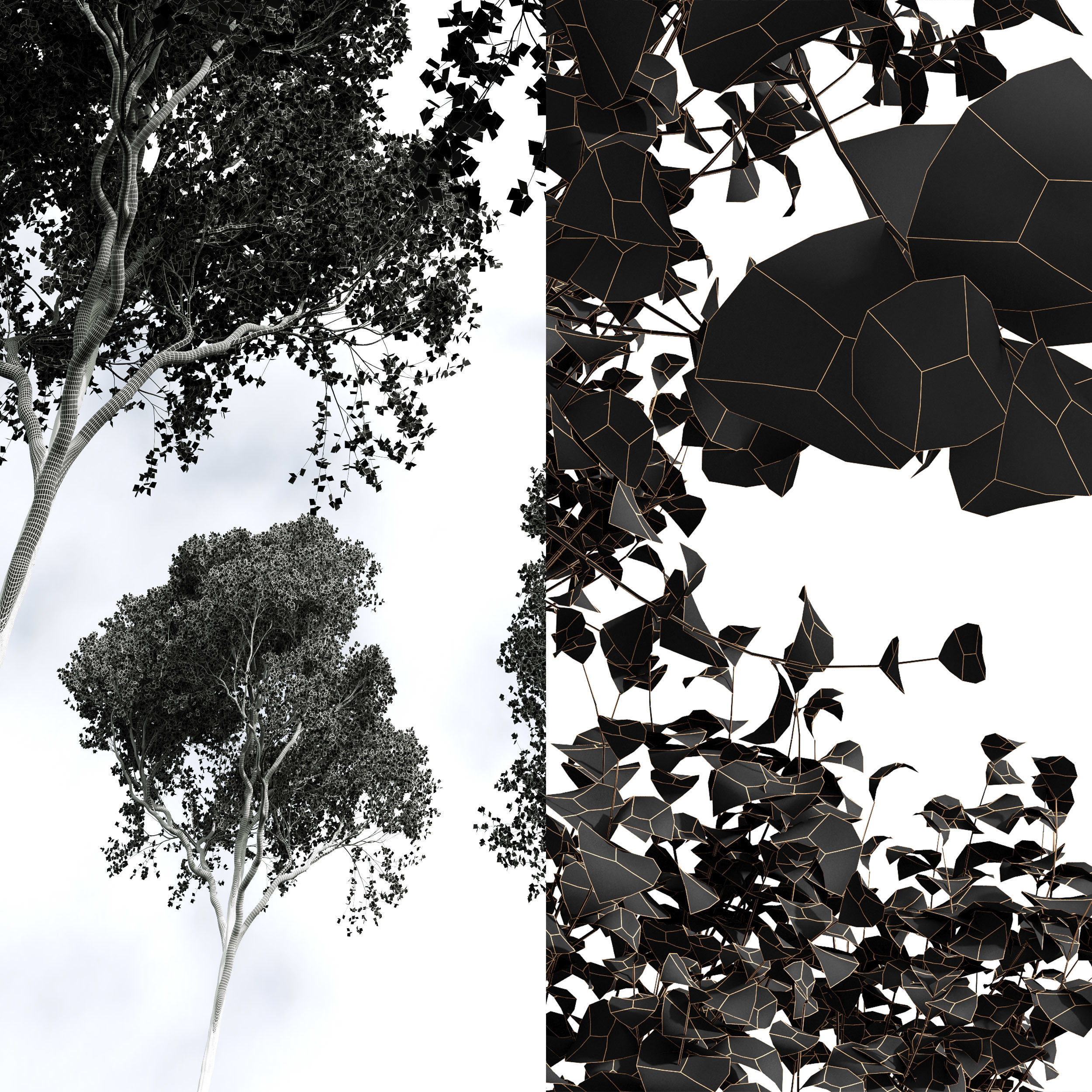 Acer Pseudoplatanus and Acer Saccharinum Summer 3D model_6