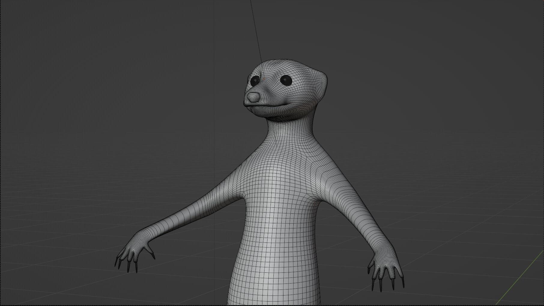 Suricata meerkat 3D model_7