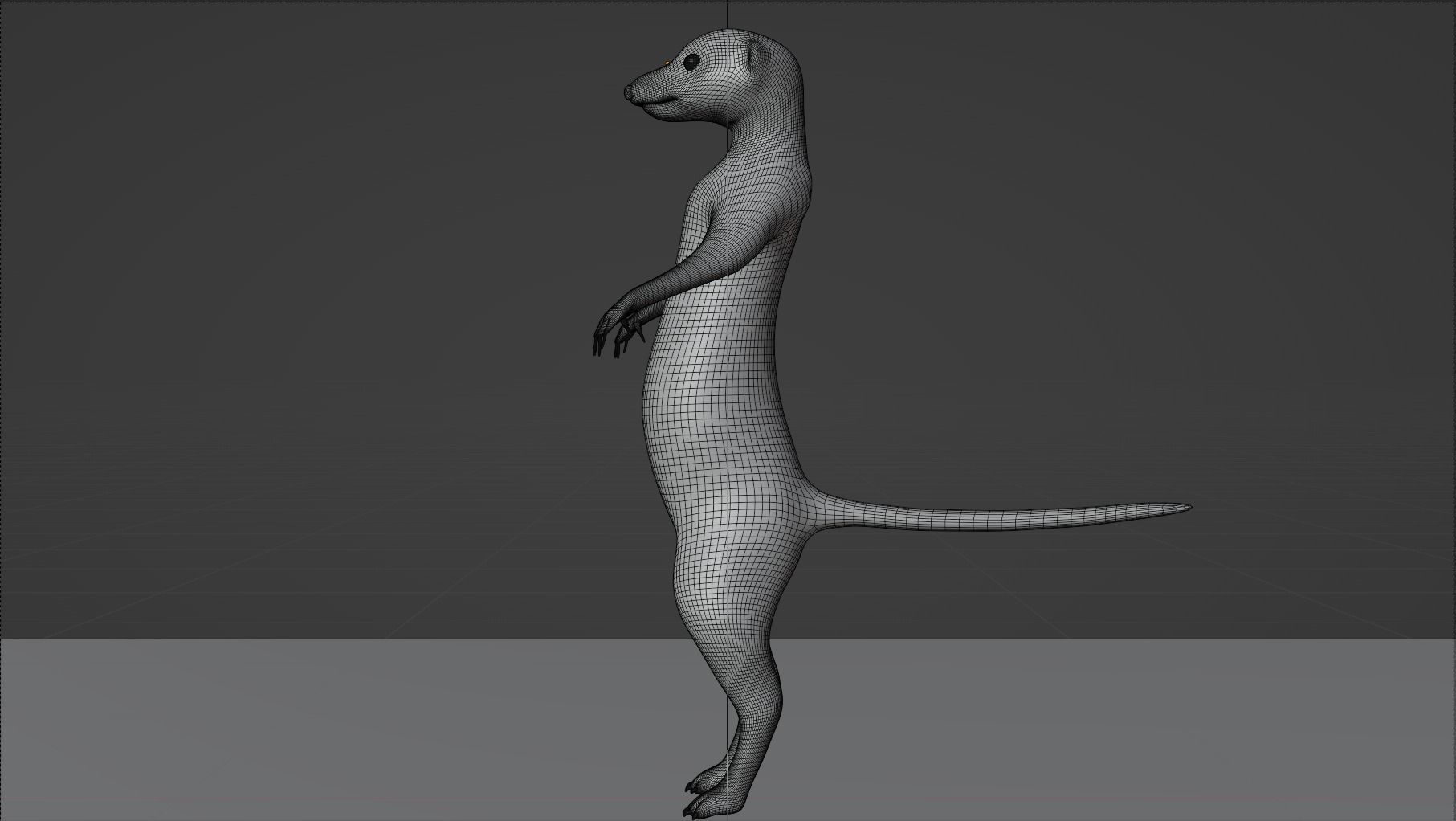 Suricata meerkat 3D model_4