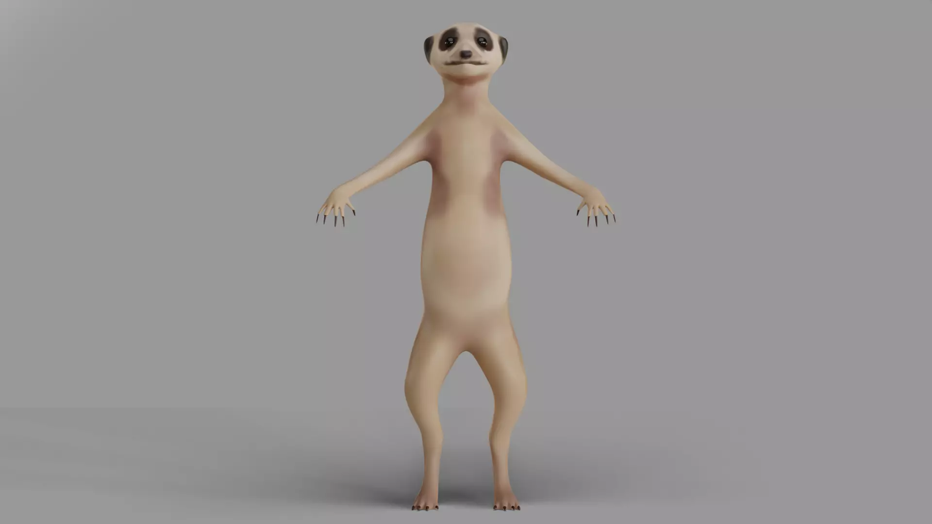 Suricata meerkat 3D model_0