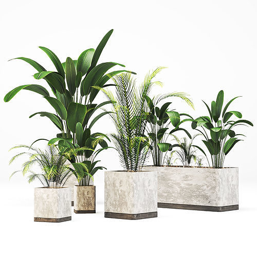 Indoor-plants-in-Concrete-Damaged-002 plant in concrete pot Low-poly 3D model