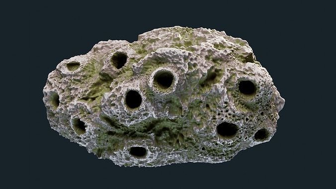 Coral reef 3D print model
