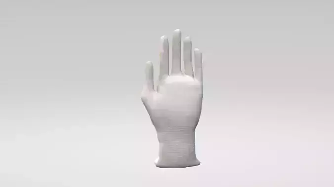 Glove