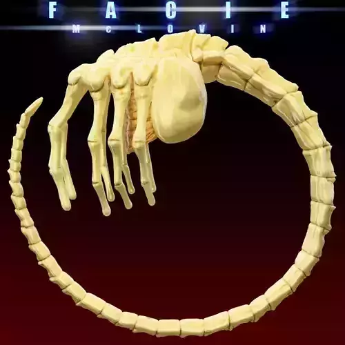 Facehugger like Character Rigged figure for Poser and Daz3d 3D model