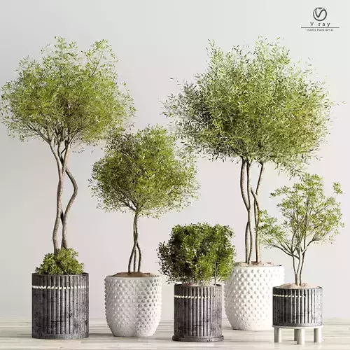 houseplants-indoor-02 five potted plants on wooden table