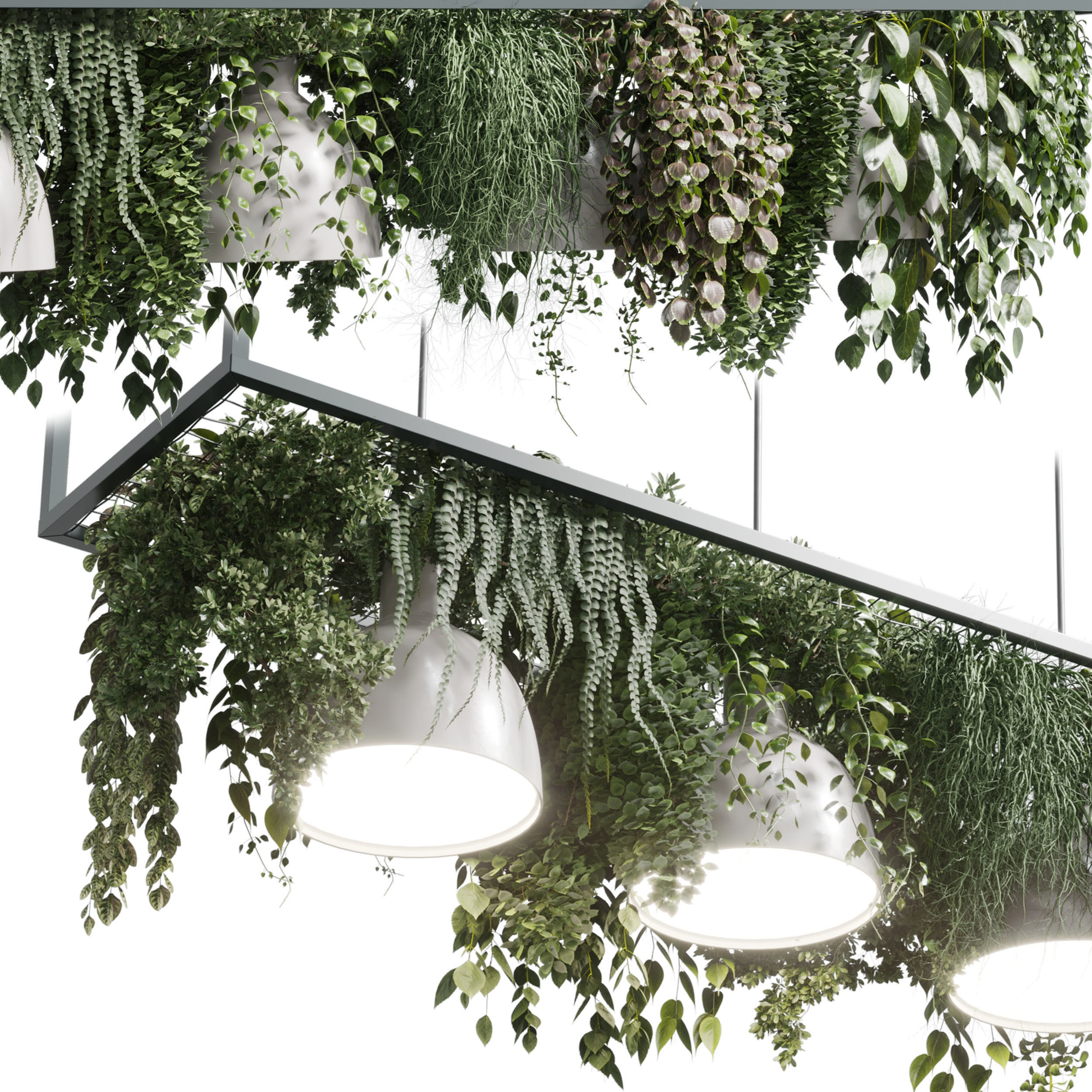 pot light pendant -plant light hanging 08 3D model_2