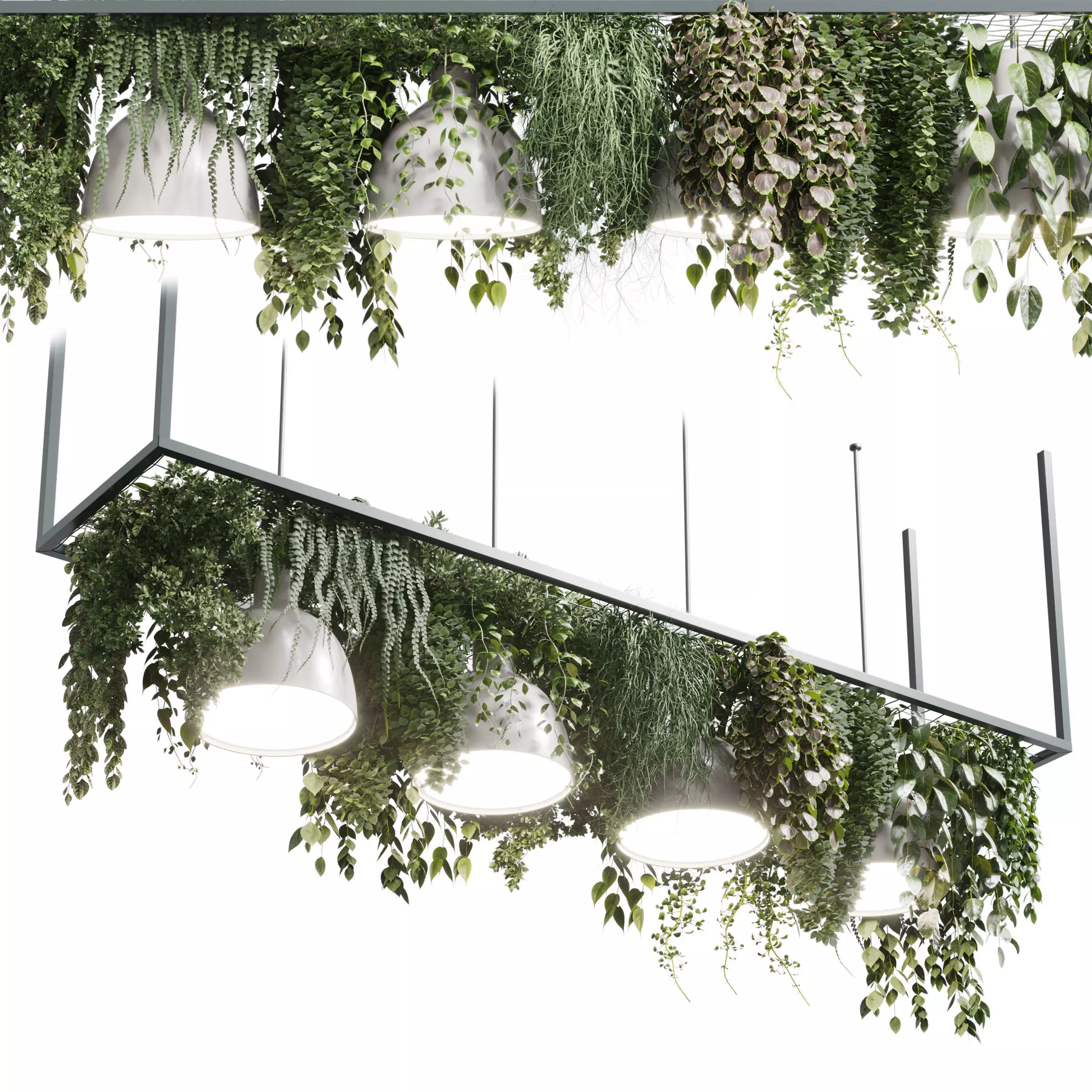 pot light pendant -plant light hanging 08 3D model_0