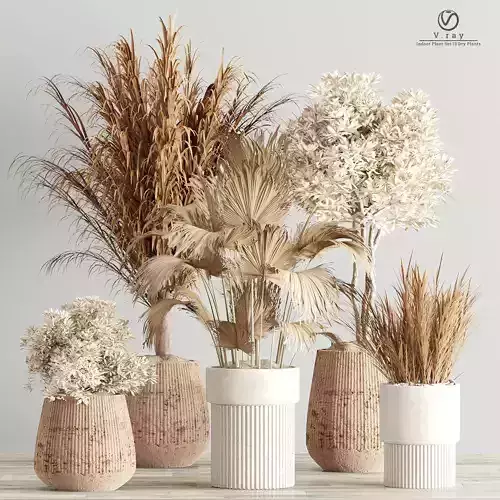 Indoor-Plant-Set3-Dry-Plants four vases with plants