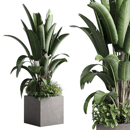 Concrete box plants on stand set plant concrete dirt vase 3D model