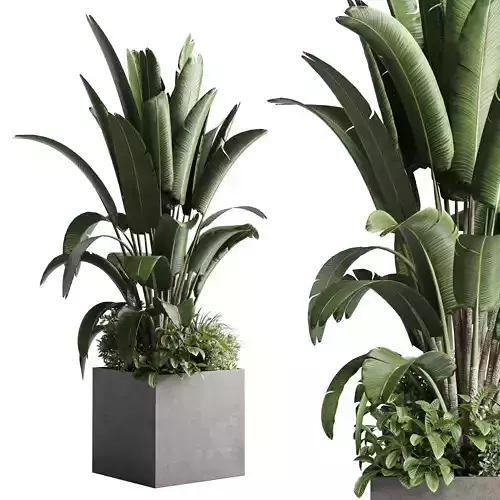 Concrete box plants on stand set plant concrete dirt vase