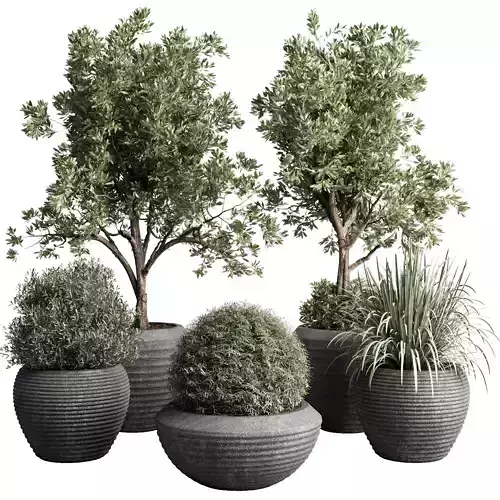 Collection indoor outdoor plant tree grass vase dirty concrete 3D model