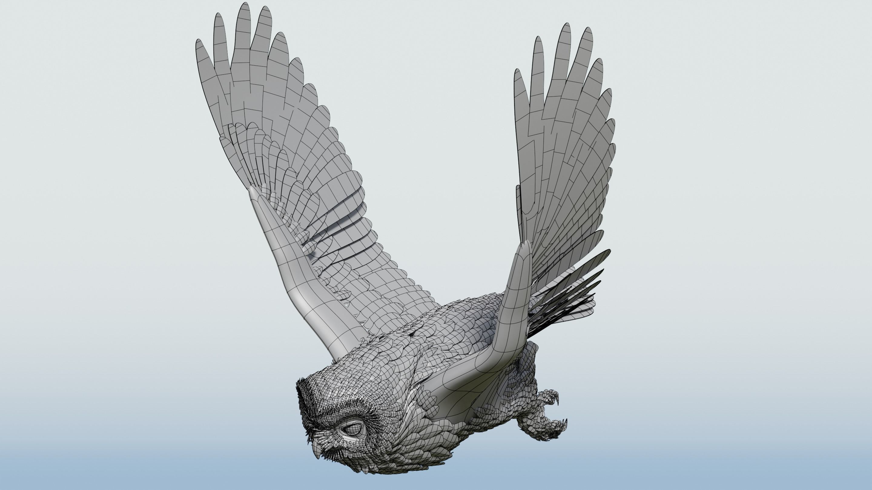 Snow Owl - BLENDER Low-poly 3D model_11