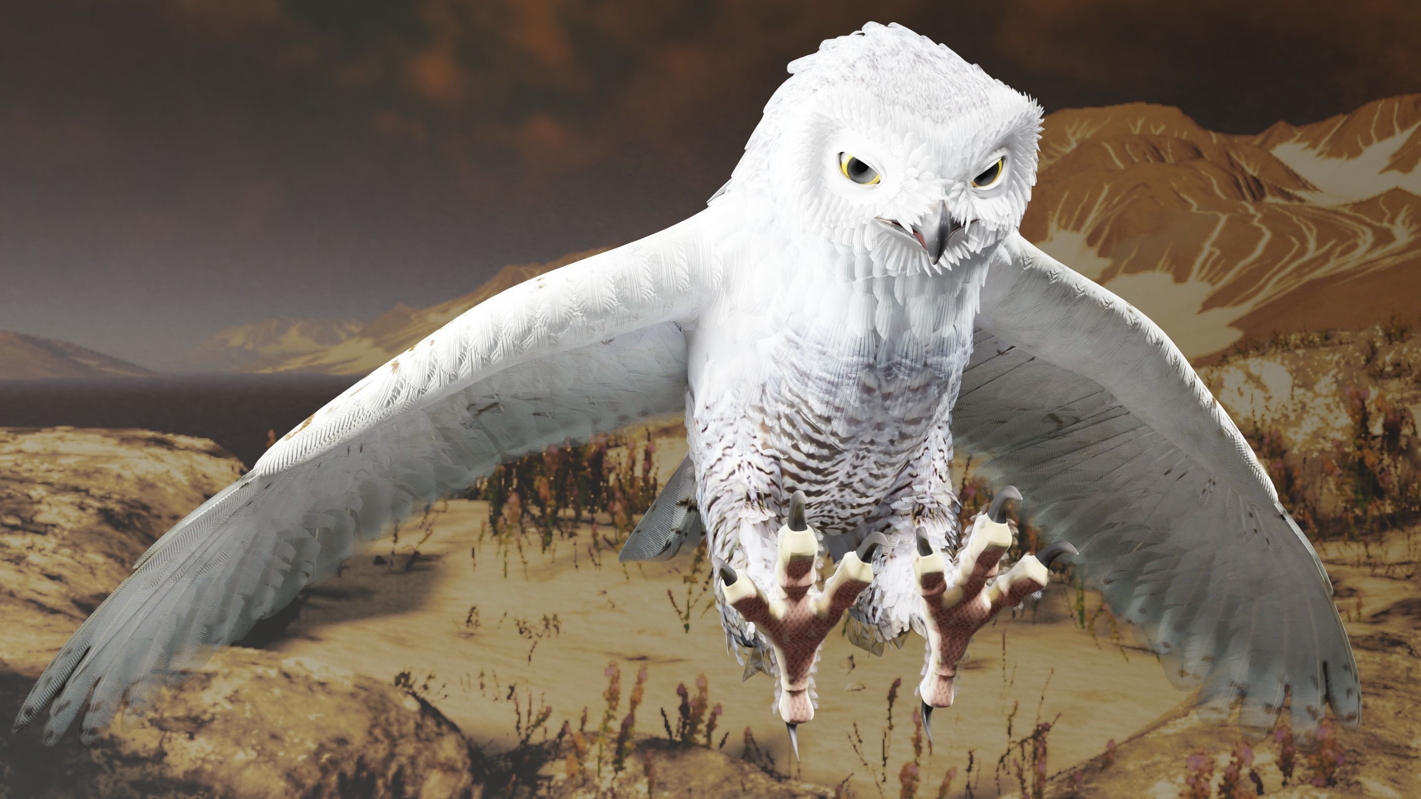 Snow Owl - BLENDER Low-poly 3D model_19