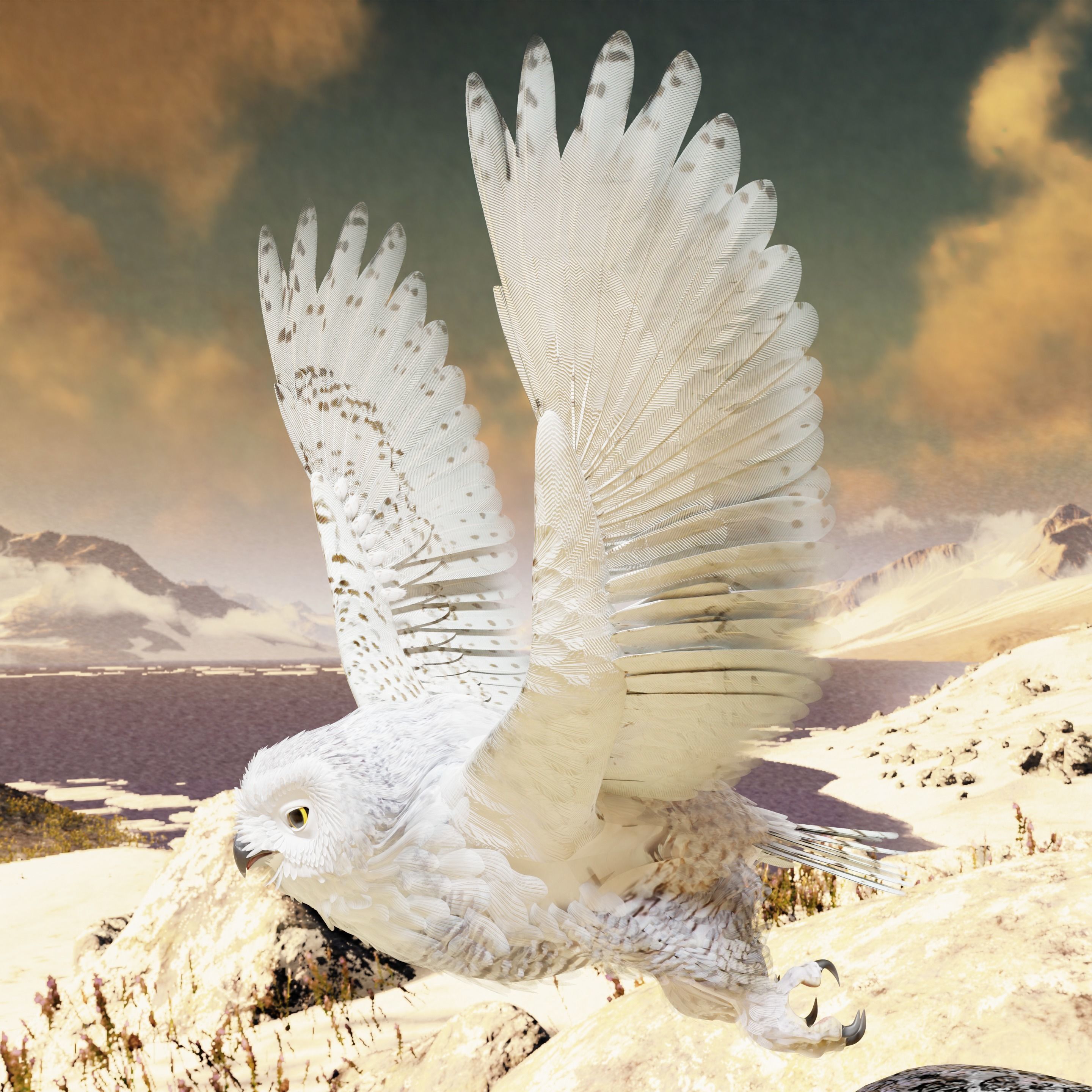 Snow Owl - BLENDER Low-poly 3D model_5