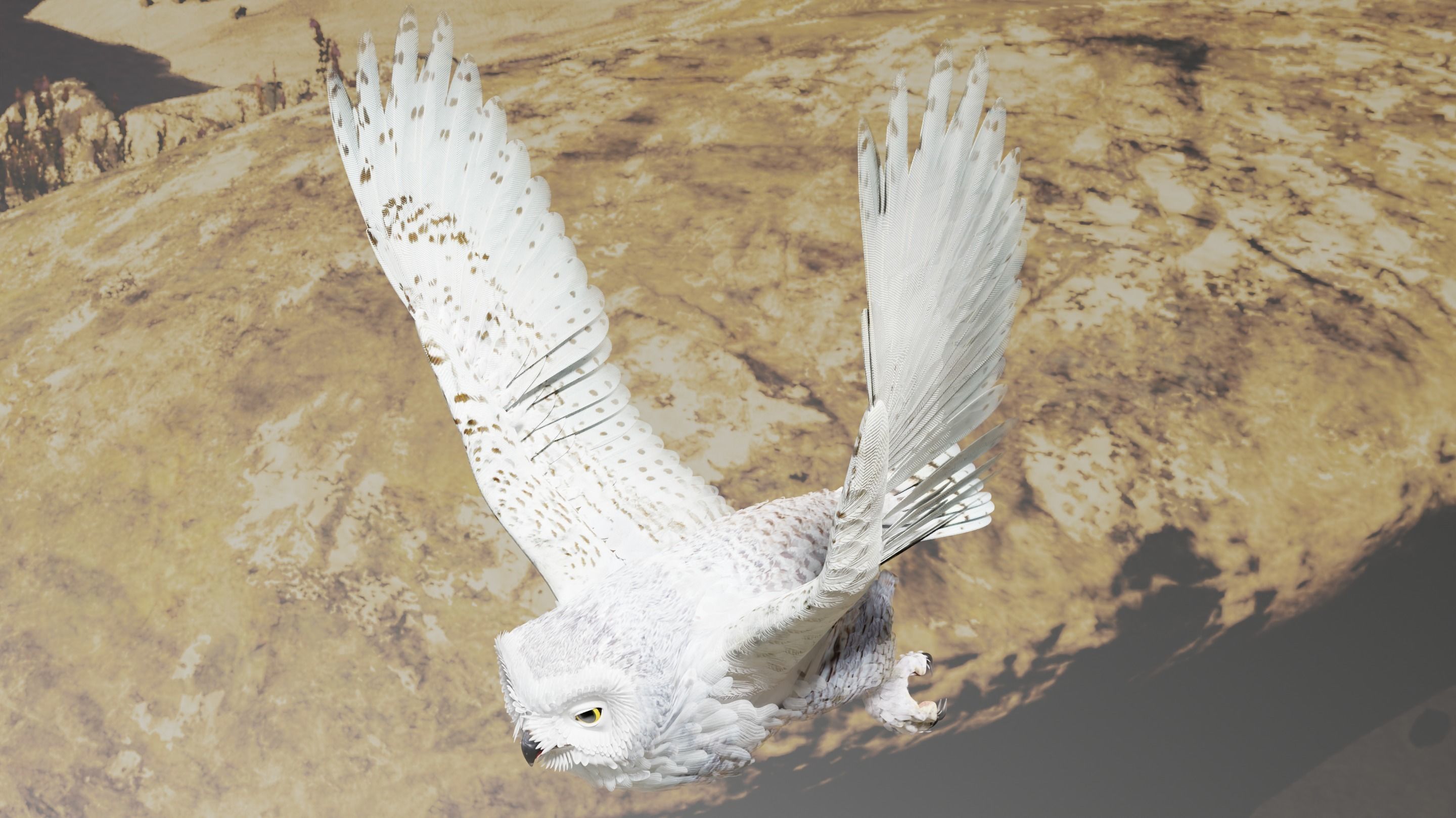 Snow Owl - BLENDER Low-poly 3D model_10